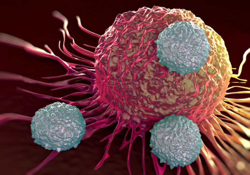 Metallhaltige Chemotherapien verstärken Wirkung der Immuntherapie bei Krebs