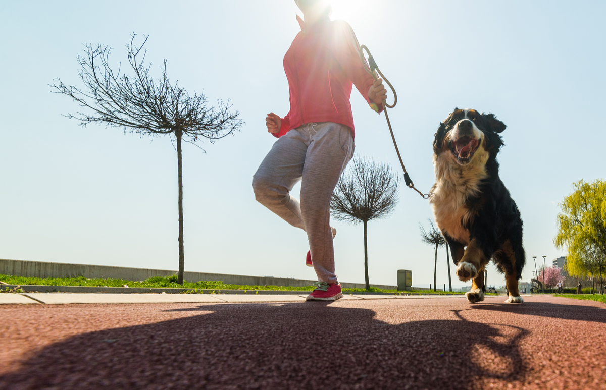 Der Hund als bester Fitnessfreund des Menschen