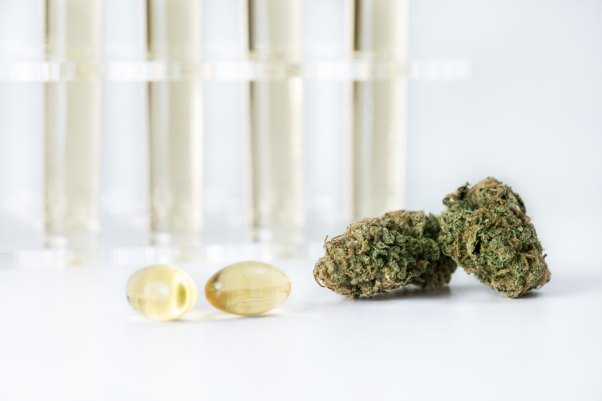 Diskussion um medizinisches Cannabis: rund 50.000 PatientInnen in Österreich wollen mit Cannabis behandelt werden