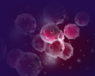 Hereditary breast cancer partly preventable by medication
