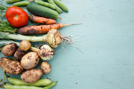 Nachhaltige Ernährung: gesund für Mensch und Umwelt