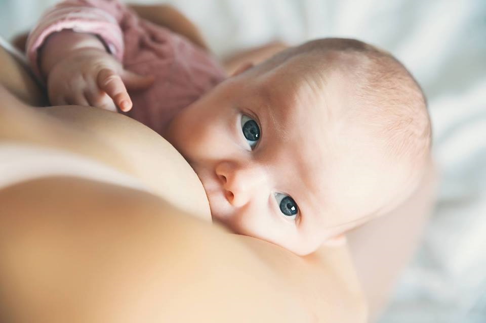 Нов курс за бъдещи родители