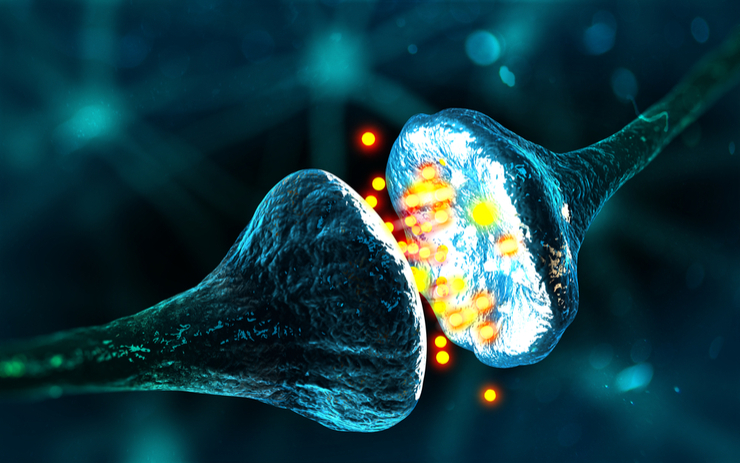 Seltene neurologische Erkrankungen: Internationale Vernetzung als Schlüssel für schnelleren Forschungsfortschritt und bessere Versorgung