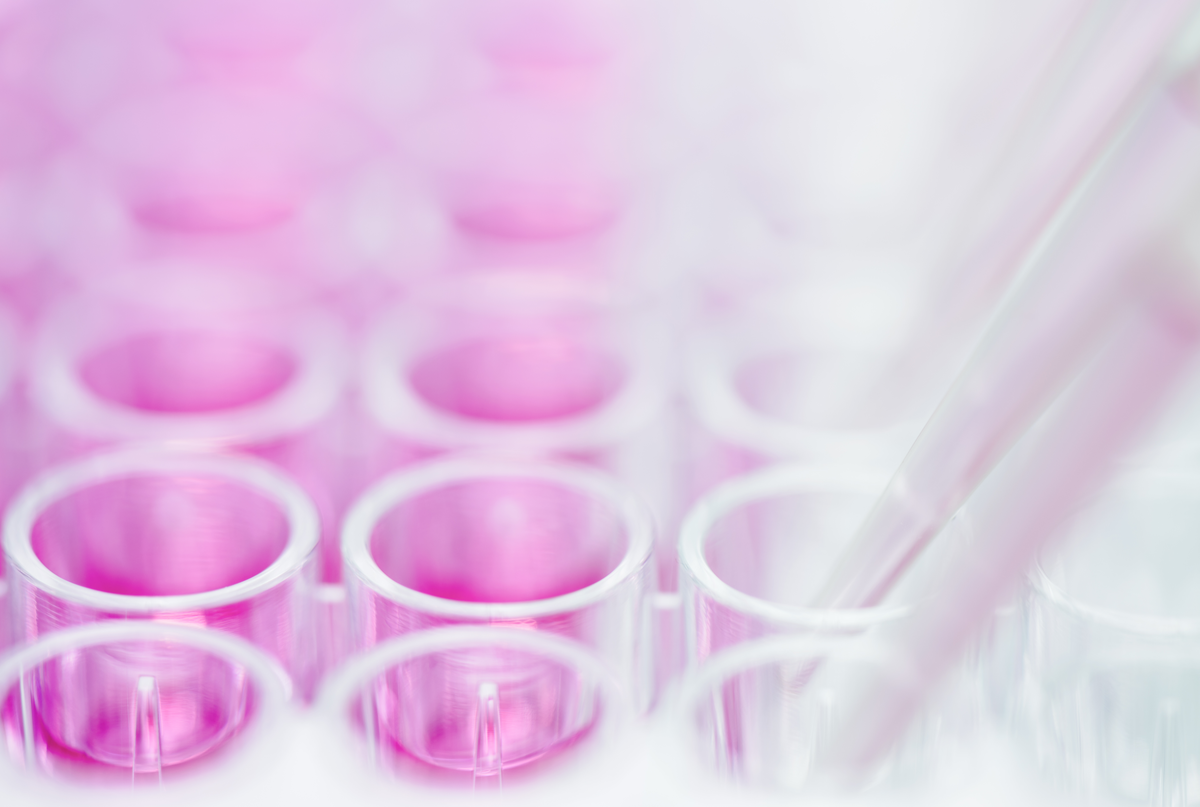 Bluttest für Brustkrebsdiagnostik - Video