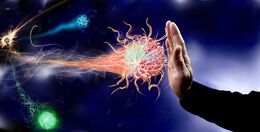 Mit dem Immunsystem den Krebs bekämpfen - Video
