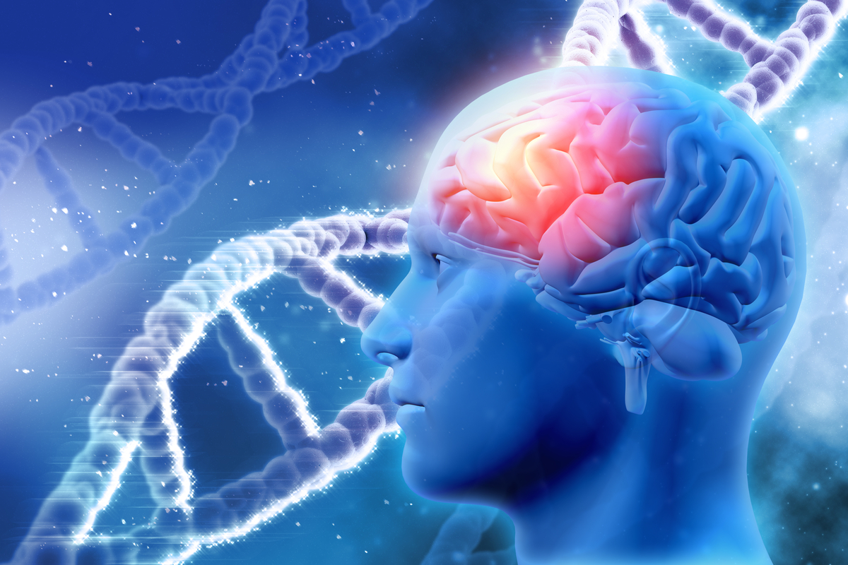 Drei Mutationen treiben die Entwicklung von Glioblastomen