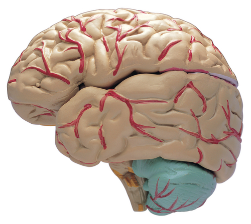 Leben mit Epilepsie: Patientenforum am 30. August 2018 im Rahmen des Europäischen Epilepsiekongresses