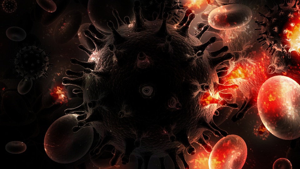 Welt-AIDS-Tag: HIV-Status schnell mit Selbsttest bestimmen