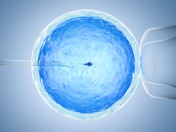 Die Zukunft der Elternschaft: aktuelle Entwicklungen der Reproduktionsmedizin