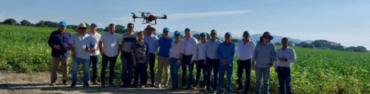 Proyecto piloto de la ONUDI demuestra incremento en la producción arroz y mejoramiento de suelos en Venezuela mediante la rotación del arroz con la soya