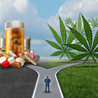 Cannabinoide Als Alternative In Der Schmerztherapie? | CredoWeb