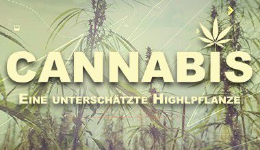 Cannabis -  eine  unterschätzte  Highlpflanze