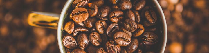Bitterstoff-Rezeptoren im Magen schmecken Koffein