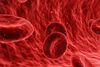 Blutkreislauf & Mikrozirkulation - Video