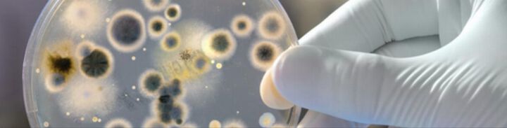 Forscher der Uni Innsbruck sucht Mittel gegen Antibiotikaresistenzen