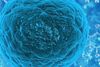 Rhinoviren programmieren Zellstoffwechsel um