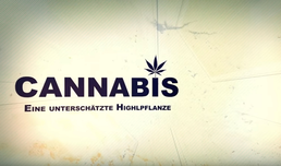 Cannabis - eine unterschätzte Highlpflanze - FILM