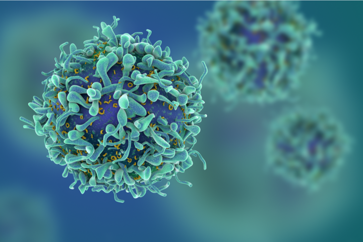 Krebs: Neuer Hemmstoff gegen Metastasen identifiziert