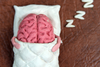 Schlafentzug beeinträchtigt die Synapsen im Gehirn