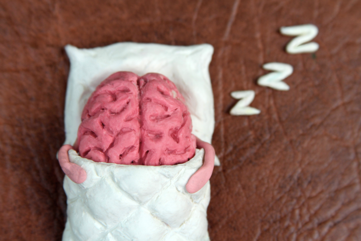 Schlafentzug beeinträchtigt die Synapsen im Gehirn