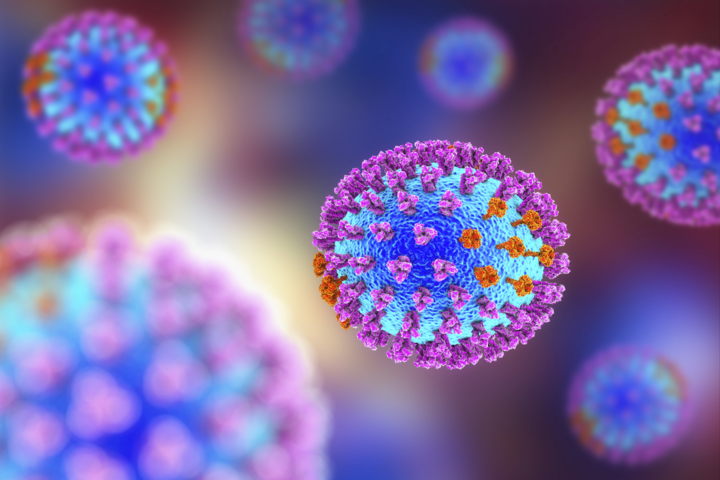 Menschliche Antikörper schützten Versuchsmäuse vor Grippeviren