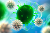 Botenstoff des Immunsystems drosselt Leberaktivität bei Infektionen 
