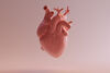 Herzmuskelregeneration: Weiterer molekularer Mechanismus der Stoßwellentherapie aufgeklärt