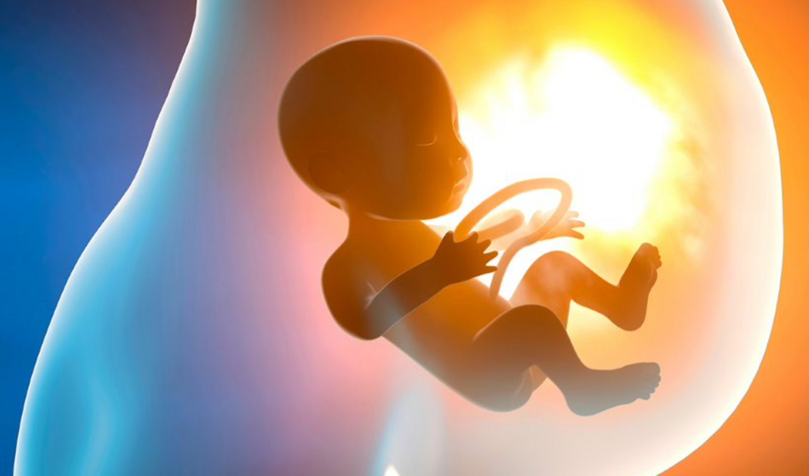 Fetalmedizin Was? Wie? Wozu? VIDEO CredoWeb