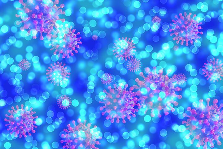 SARS-CoV-2 und das Immunsystem: Wie sich COVID-19 in der 3D-Zellkultur simulieren lässt