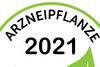 Mariendistel ist die Arzneipflanze 2021 in Österreich