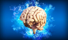 MRT-Studie zur Gehirnreaktion nach Meditationstraining