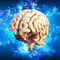 MRT-Studie zur Gehirnreaktion nach Meditationstraining