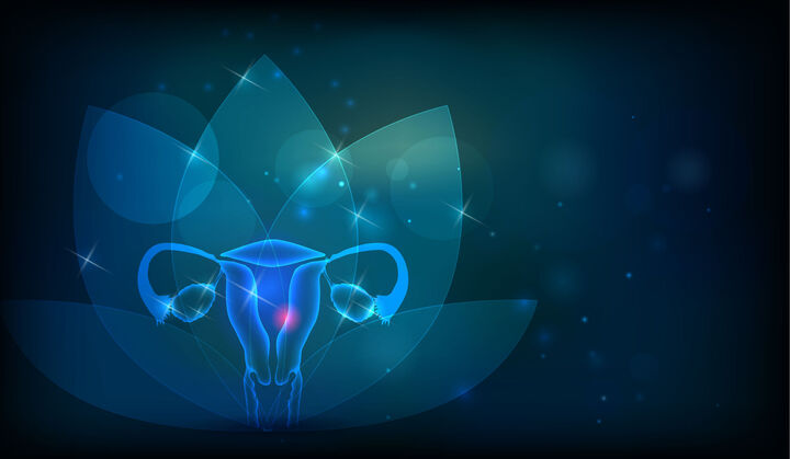 Die Zukunft der Krebstherapie bei Zervix- und Vulva-Krebs