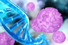 Hautmikrobiom als Faktor bei Stammzelltransplantationen erkannt