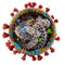 Innsbrucker Team entwickelte sicheres Modell zur Vorhersage von resistenten Coronaviren