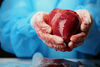 Neue Wege in der Transplantationsmedizin: Wie die Organbank Realität werden soll