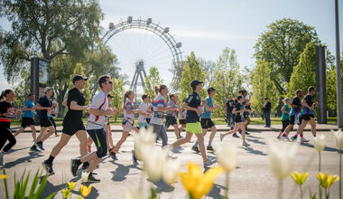 Pollenflugvorhersage für den Vienna City Marathon 2024: fast ideale Bedingungen für Teilnehmer:innen