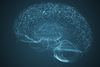 Multiple Sklerose: Kognitives Training fördert die Hirnleistung bei MS