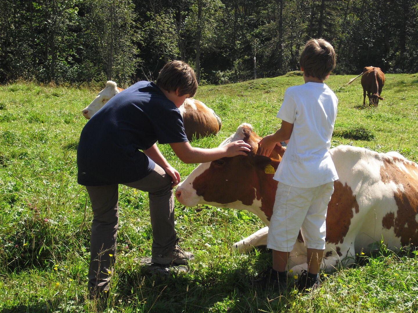 Laktosefreie Milch schmeckt süßer oder?