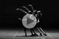 tamed spezial Symposium „Tage der Tanzmedizin“ in Wien, Februar 2017-Videoimpressionen aus der Wolke 19