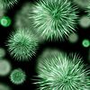 Infektionen (bakteriell und viral)