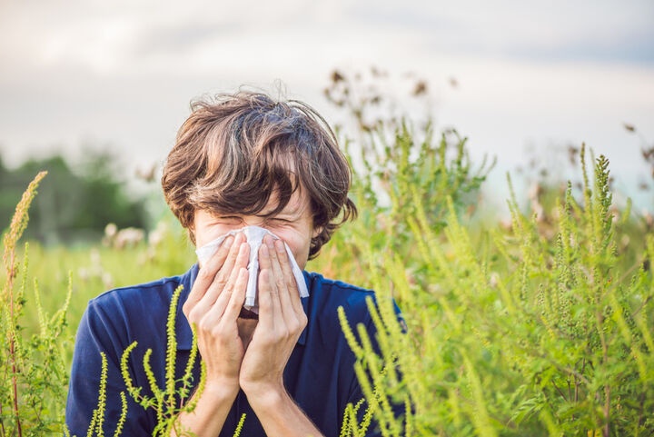 До 2050 г. всеки втори европеец ще е с алергия