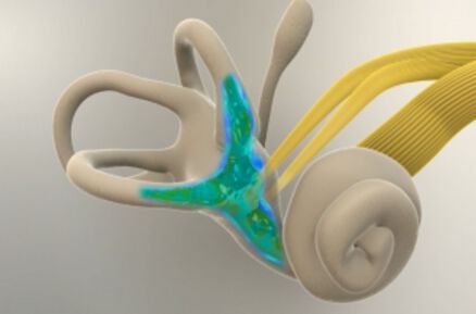 Пациенти с нарушения на вестибуларния апарат и равновесието могат да потърсят помощ в „Токуда“