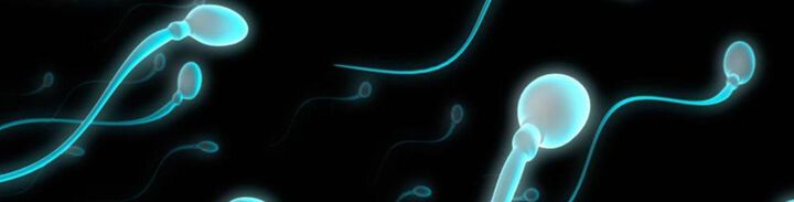 Ново изследване: Двойно е намалял броят на сперматозоидите при мъжете в Европа и САЩ
