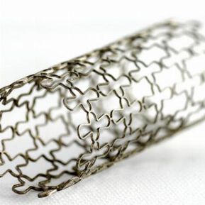 Най-трудната борба - да пребориш себе си