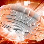 Над 140 специалисти се включиха в първата национална конференция по инсулт във Варна