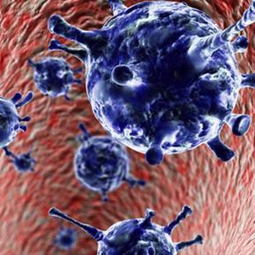 Тестват генномодифицирани клетки за лечение на солидни тумори