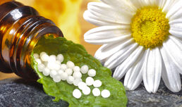 Доказателствена база на хомеопатичната медицинска наука