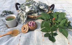 Чаят от малинови листа помага за по-леко и бързо раждане