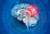 Пети национален конгрес по невросонология и мозъчна хемодинамика